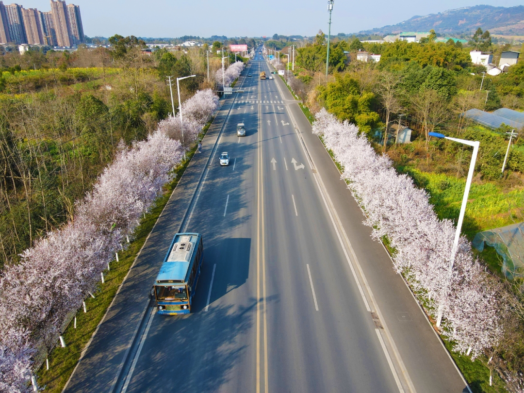 交行四川省分行：帮扶助振兴 春意满天府