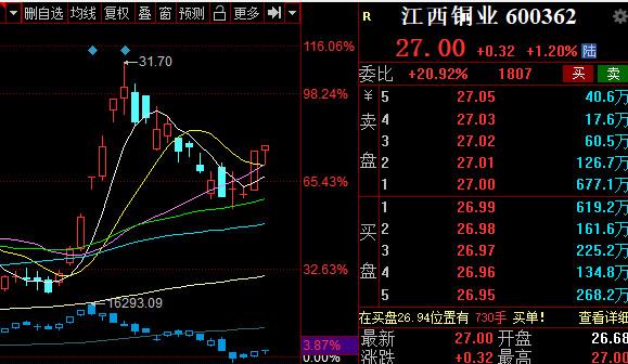 揭秘涨停丨多只有色金属股涨停，热门铜业股获超17万手买单封板
