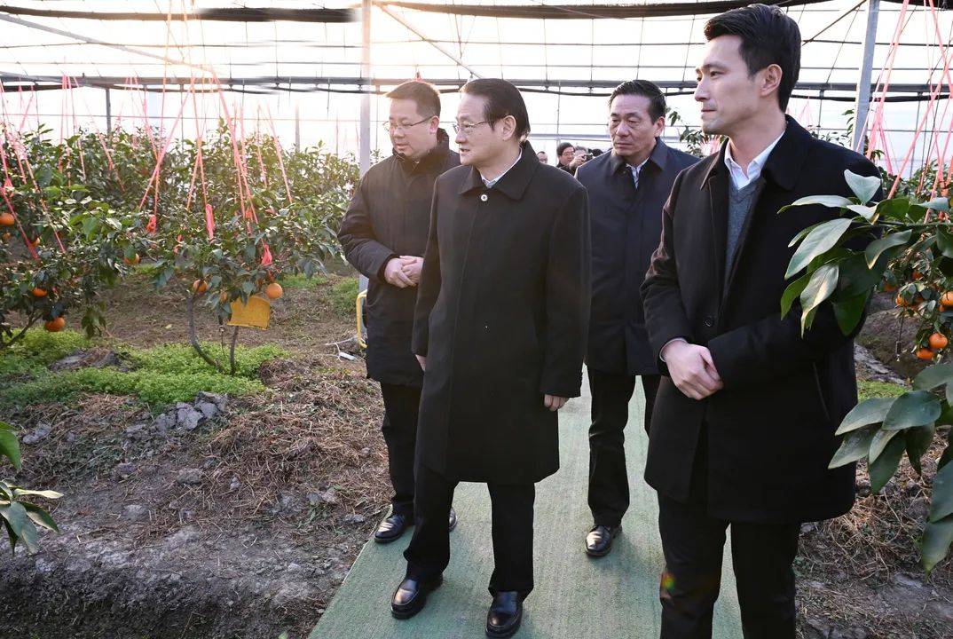 高质量发展取得新成效