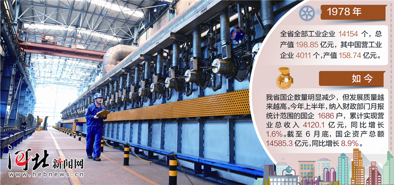 红宝丽：公司技改项目在推进中，我们技改项目也会成功的！