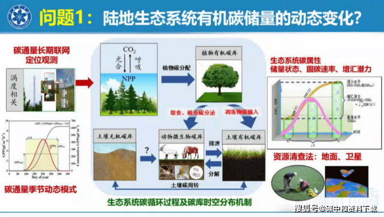 “碳资产管理”站上时代风口，东珠生态林业碳汇有望成为业绩新增长点