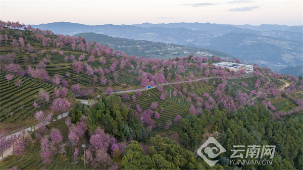 券商4月金股出炉 高股息策略热度飙升