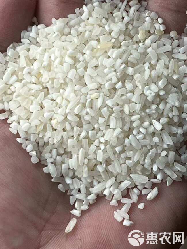 缅甸七个月内向中国出口600多吨虾