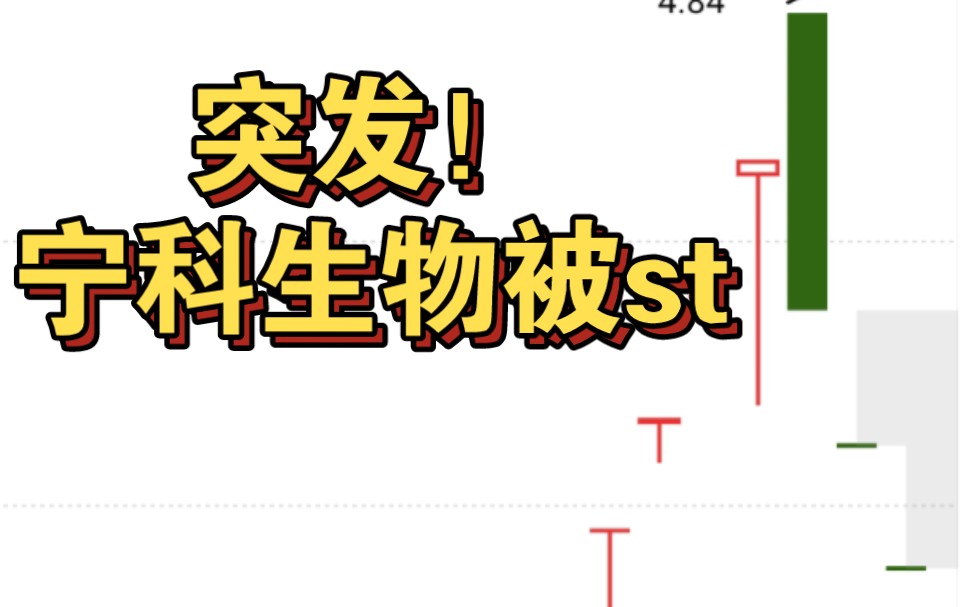 *ST宁科录得5天3板