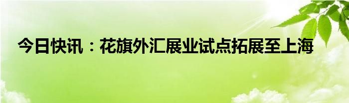 外汇展业改革配套制度呼之欲出：8类尽职免责情形明确