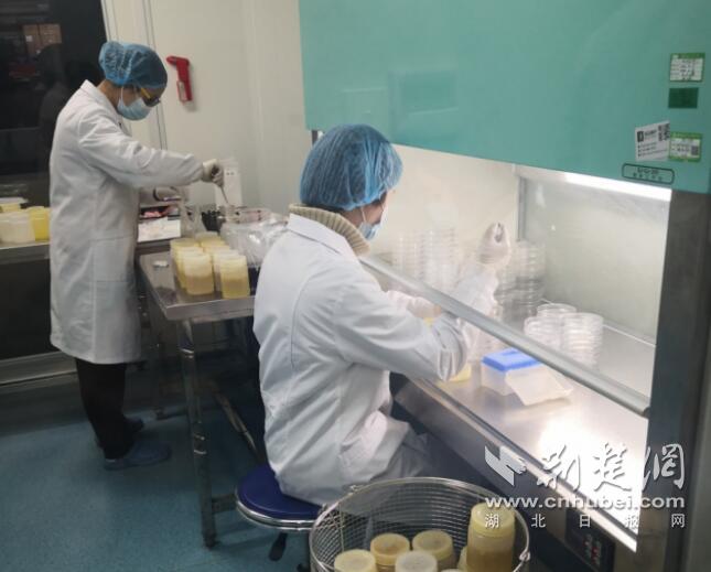 韭菜不好割！良品铺子第二大股东宣布大手笔减持后首个交易日股价跌停