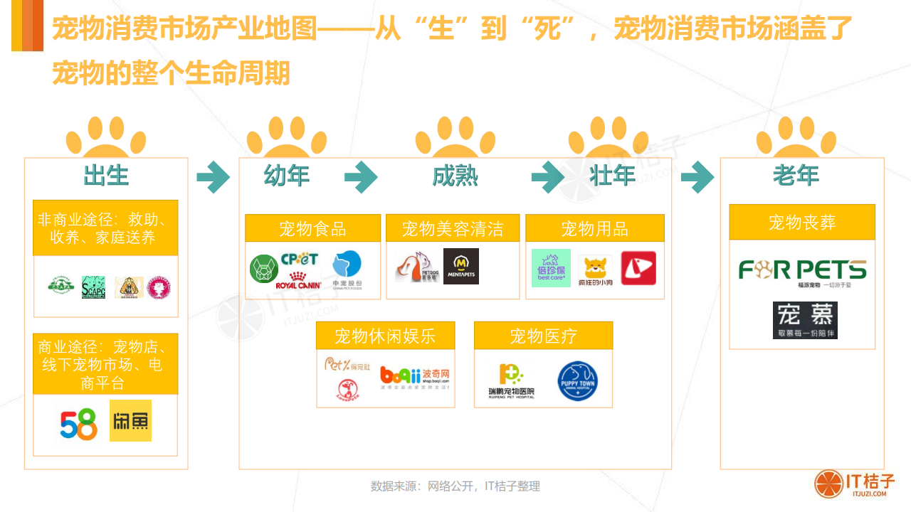 【机会挖掘】上海推六大行动扩消费 宠物经济或受关注