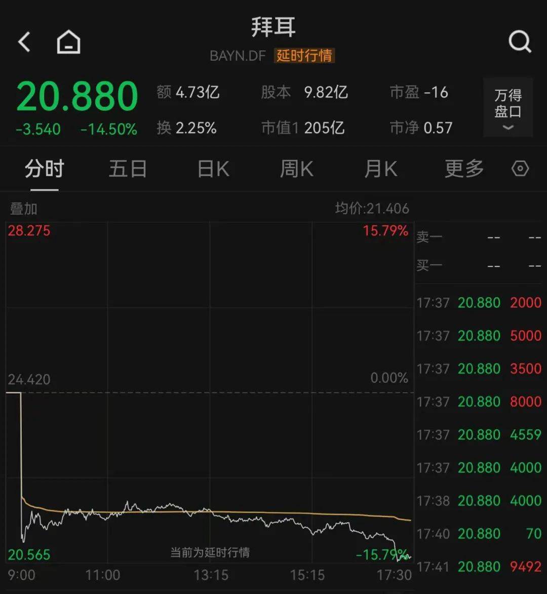 深夜，全线大涨！发生了什么？