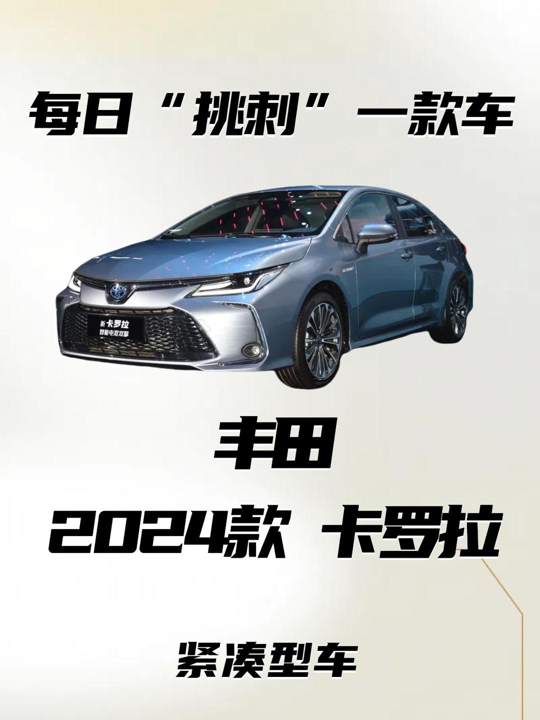 2024年SUV车型在罗销量超7万辆，创历史最高纪录