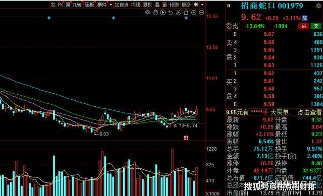 社保基金持仓动向：去年四季度新进5股
