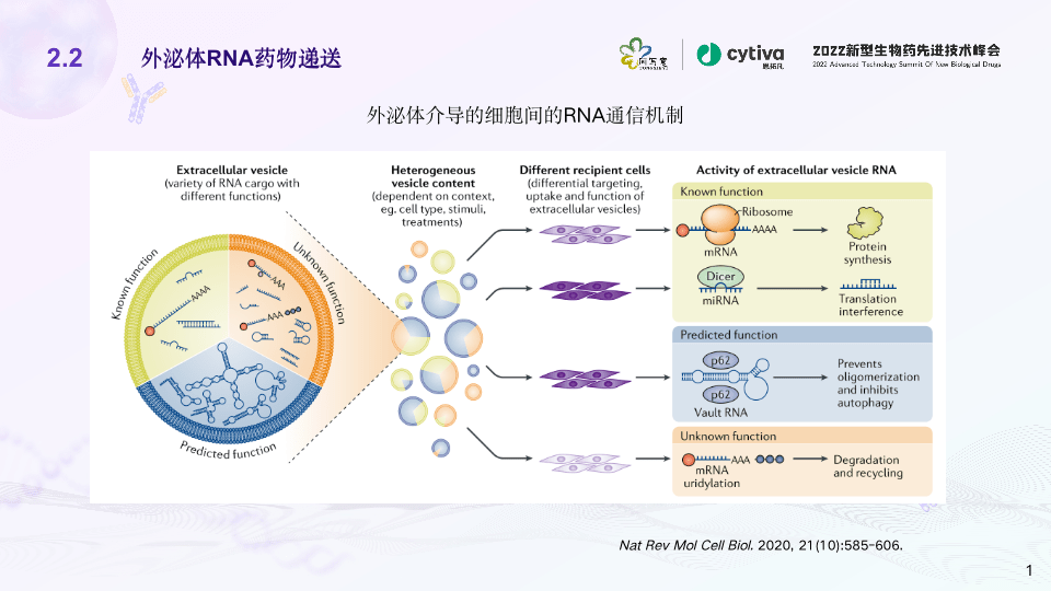 诺和诺德5.2亿美元收购减肥候选药物LX9851