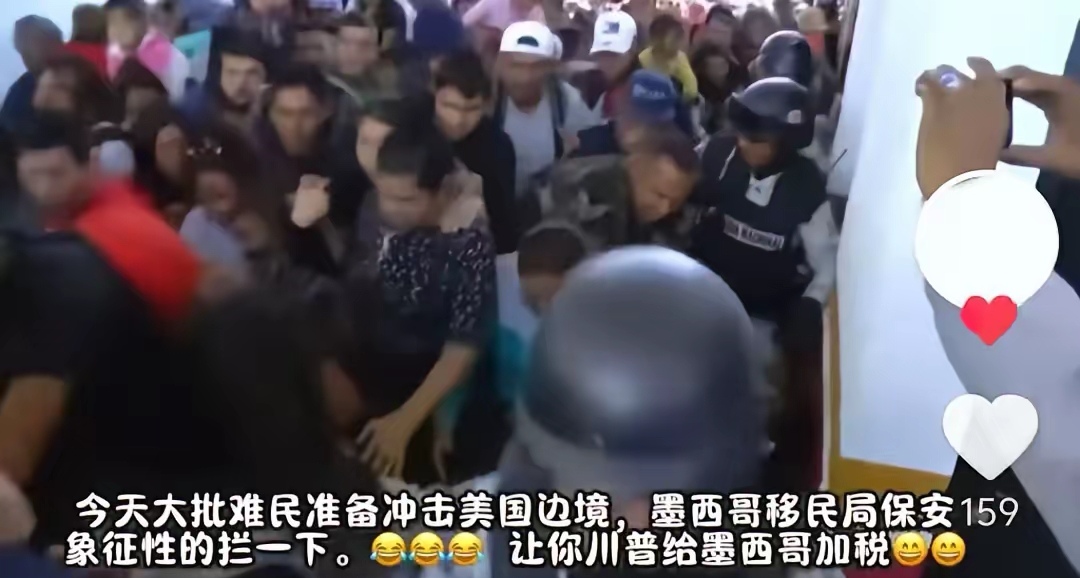 韩国关税厅与相关部门合作阻断濒危物种非法入境
