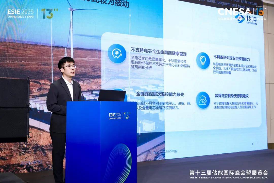 业绩“开倒车”，储能拖累营收、光伏产品亏本卖，林洋能源困局待解