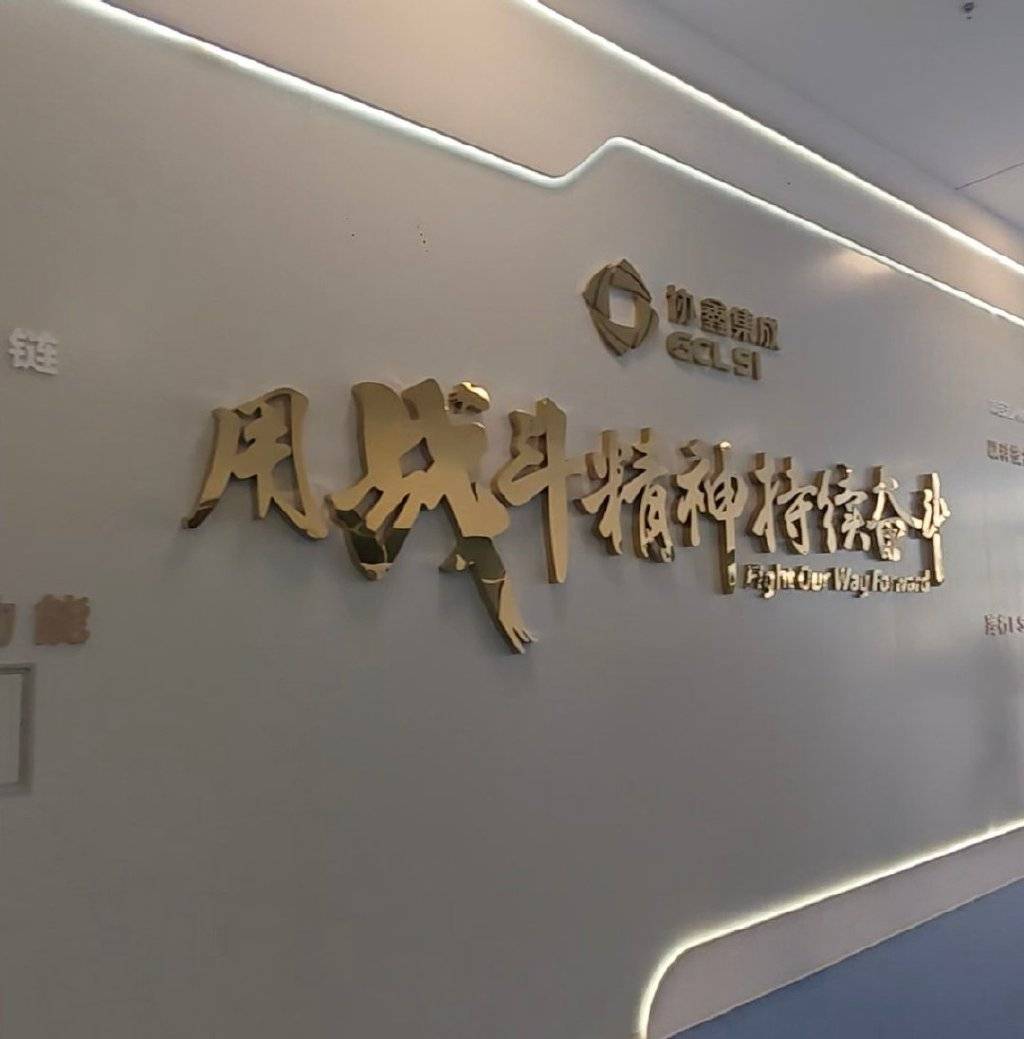 协鑫集成2024年营收超162亿元 组件出货量跻身行业前八