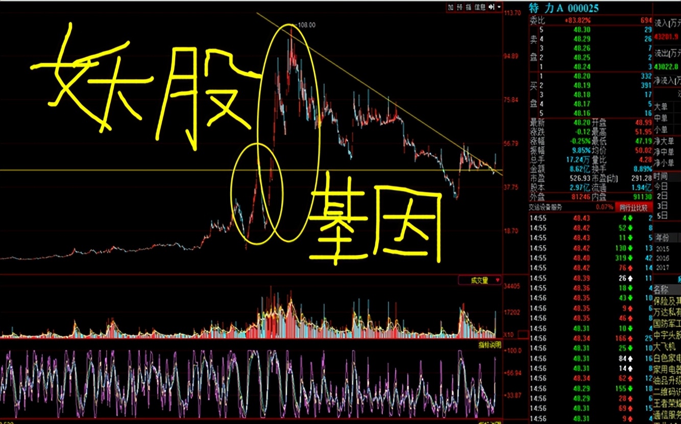 揭秘涨停 | 这只股封单超55万手