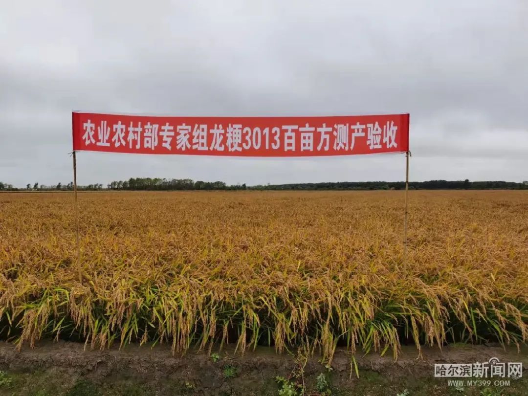 熵基科技(301330.SZ)：拟收购龙之源科技55%股权并取得其控制权