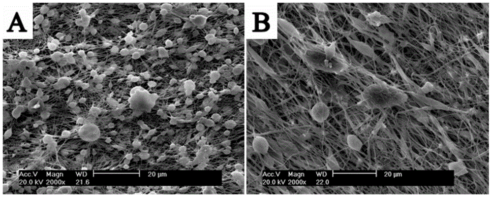南 玻A获得发明专利授权:“弯钢三银玻璃及其制备方法、平弯一体三银夹层中空玻璃”