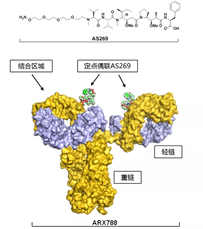 阳光诺和：STC007注射液II期临床试验达成预期目标