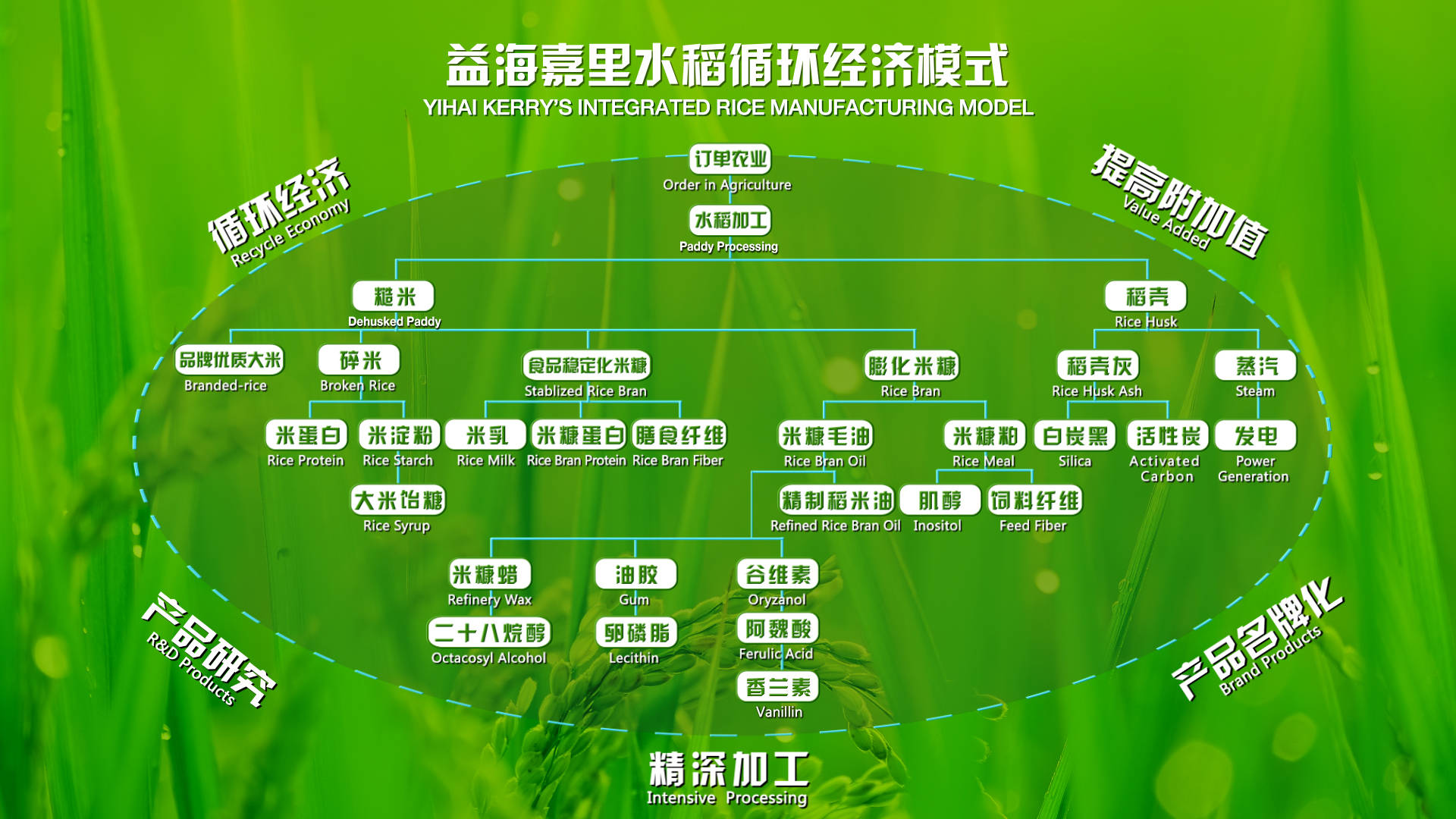 技术创新助力循环经济健康发展