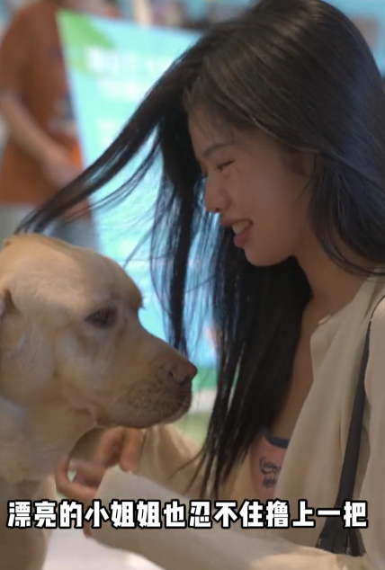 机器人助力幸福生活｜电子导盲犬让视障人士“看见”生活点滴