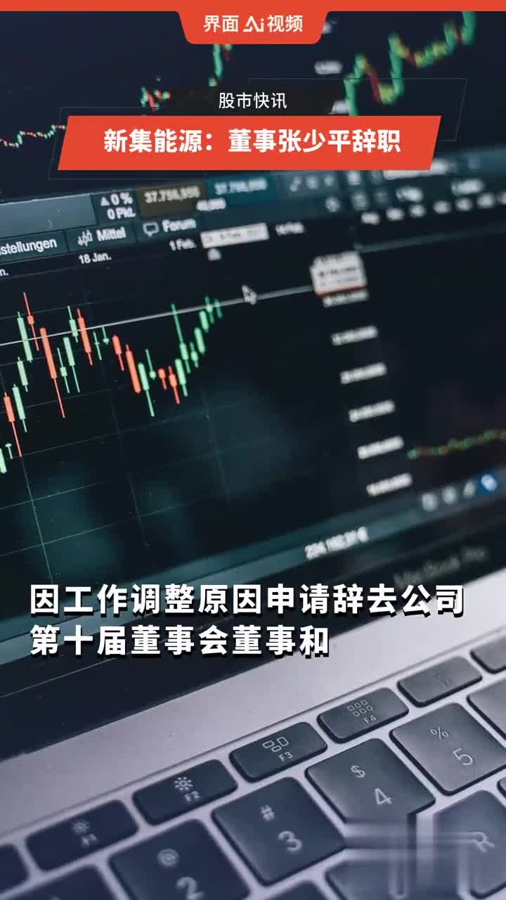 新集能源:董事长王志根离任