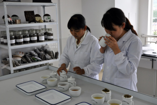 常山药业：临床专业的灯亮了表示相关专业在进行审评工作