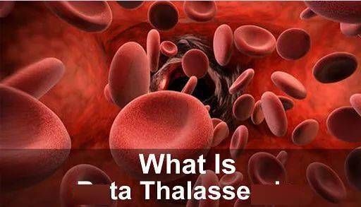 全球首个红细胞成熟剂利布洛泽在中国获批 用于较低危骨髓增生异常综合征患者