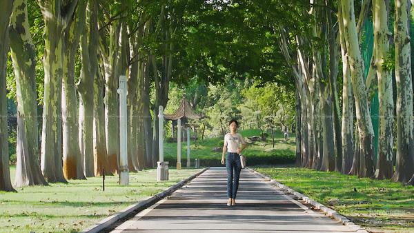AI驱动绿色低碳城市进化 城市超级智能体赋能上海智慧治理新动能