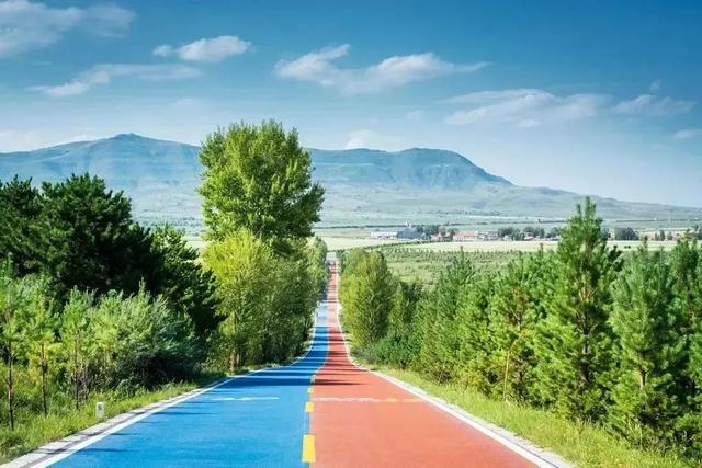 AI驱动绿色低碳城市进化 城市超级智能体赋能上海智慧治理新动能