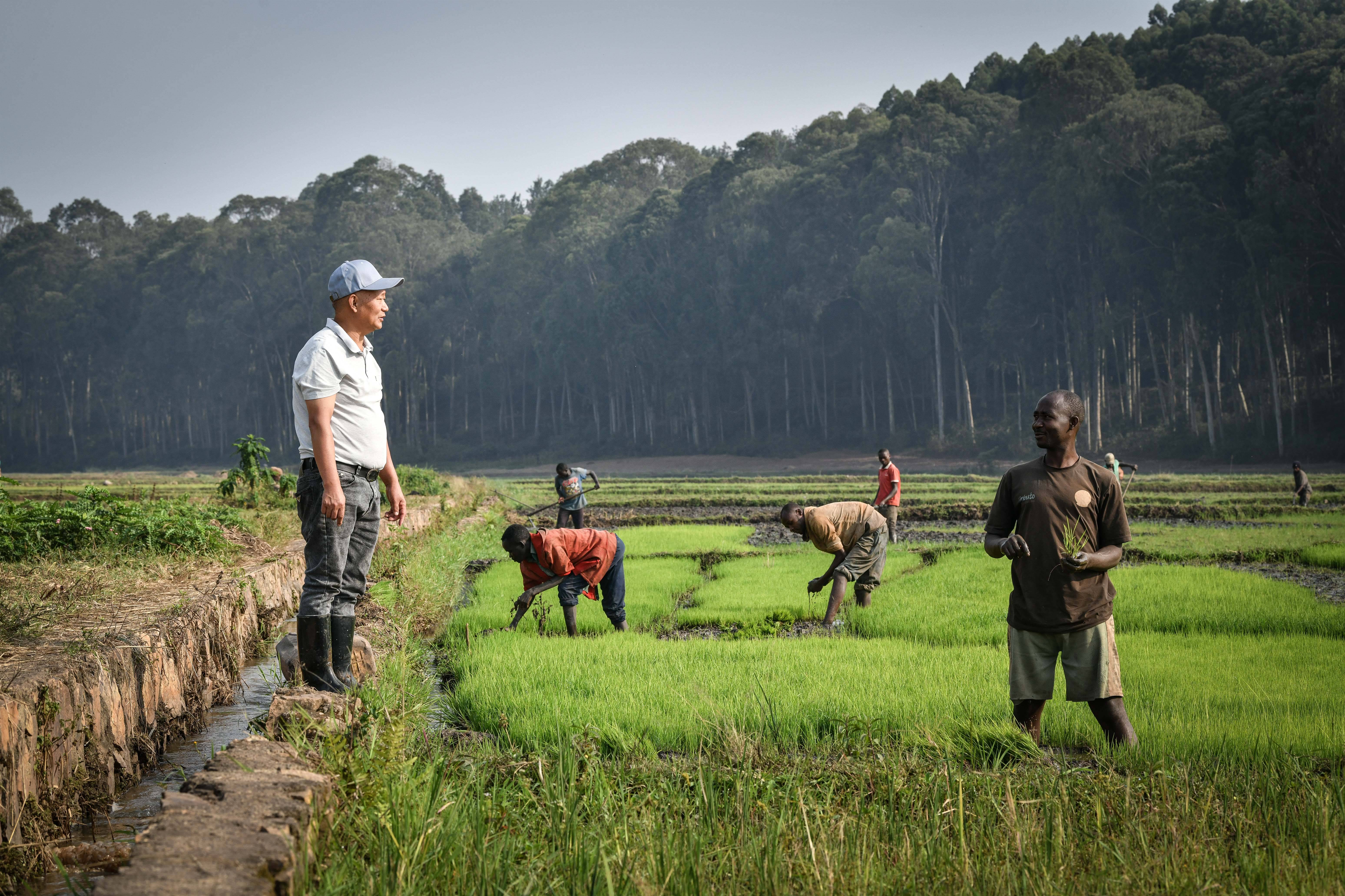 库迪咖啡与卢旺达建立战略合作 打造中卢国际咖啡产业示范园