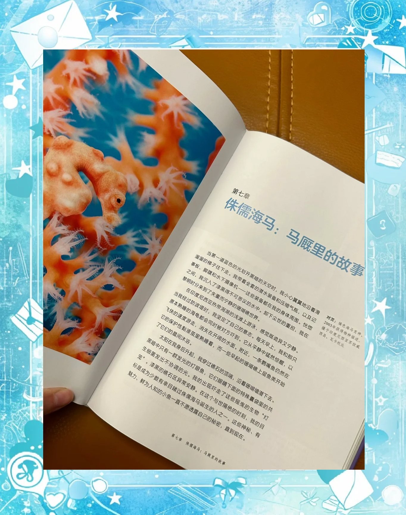 新研究：气候变化速度远超珊瑚礁迁移能力