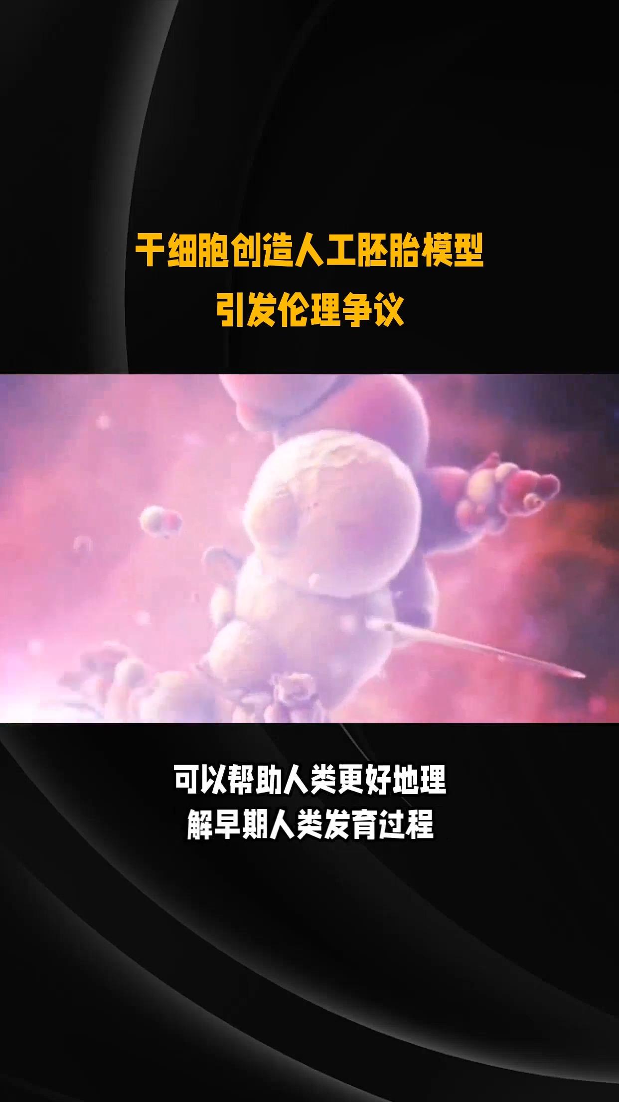 科学家证实大模型能像人类一样“理解”事物