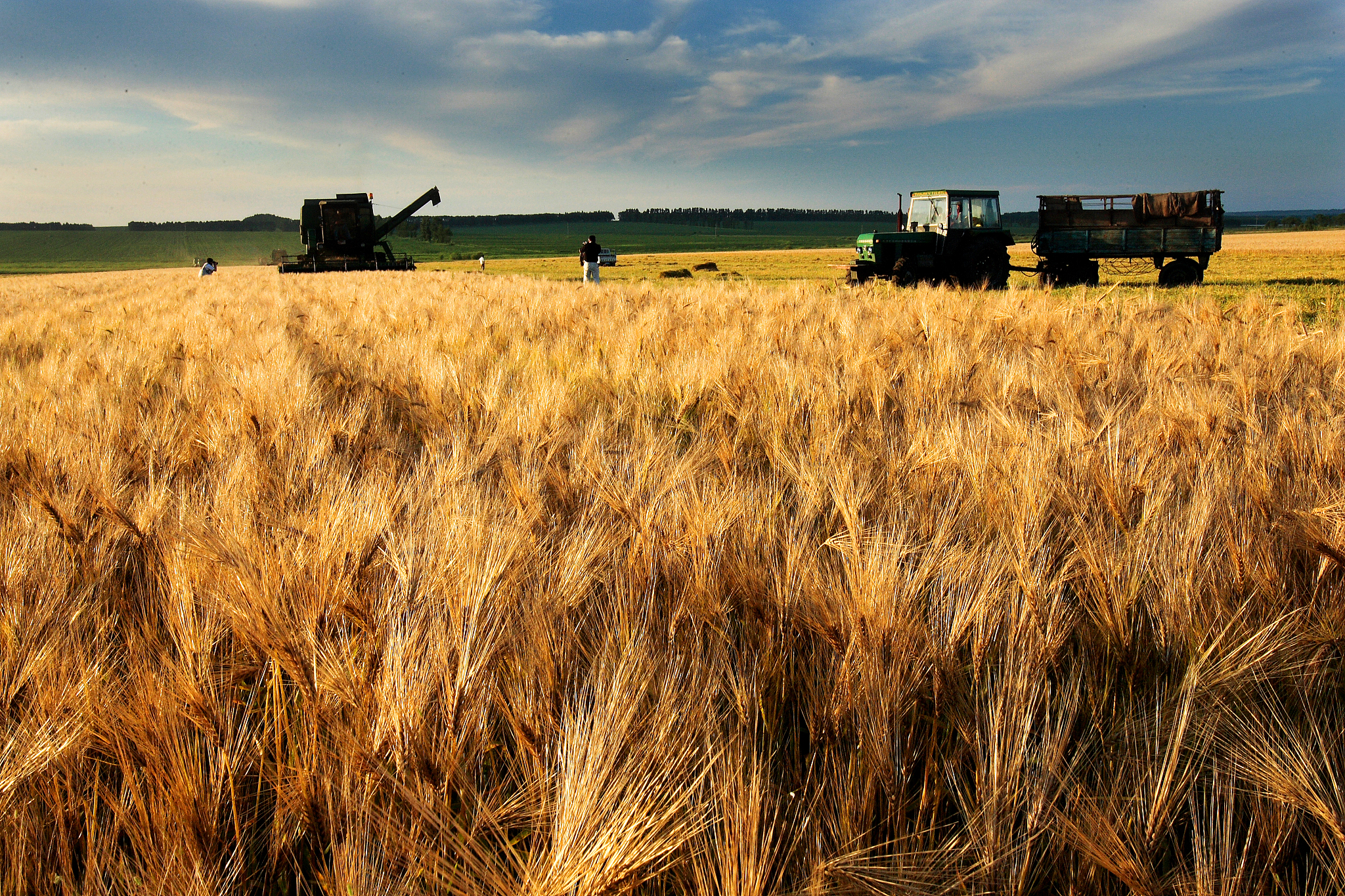 1.89亿主力资金净流入，粮食概念涨1.30%