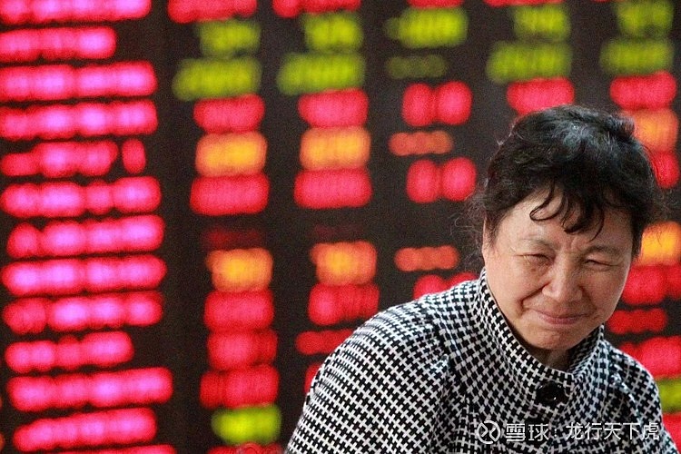 因“苏超”股价暴涨的共创草坪：公司净利率三连降，国内营收占比萎缩至仅一成