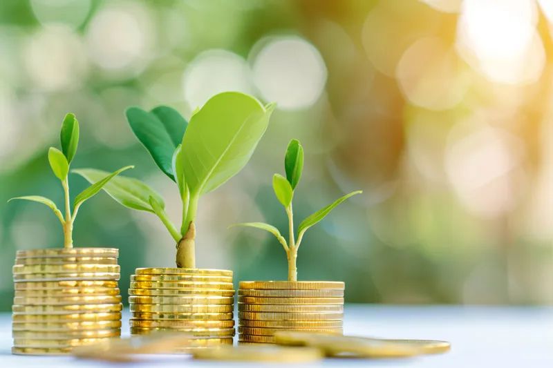 5月绿色债券市场规模保持稳定 “投向绿”债券市值规模为6.52万亿元