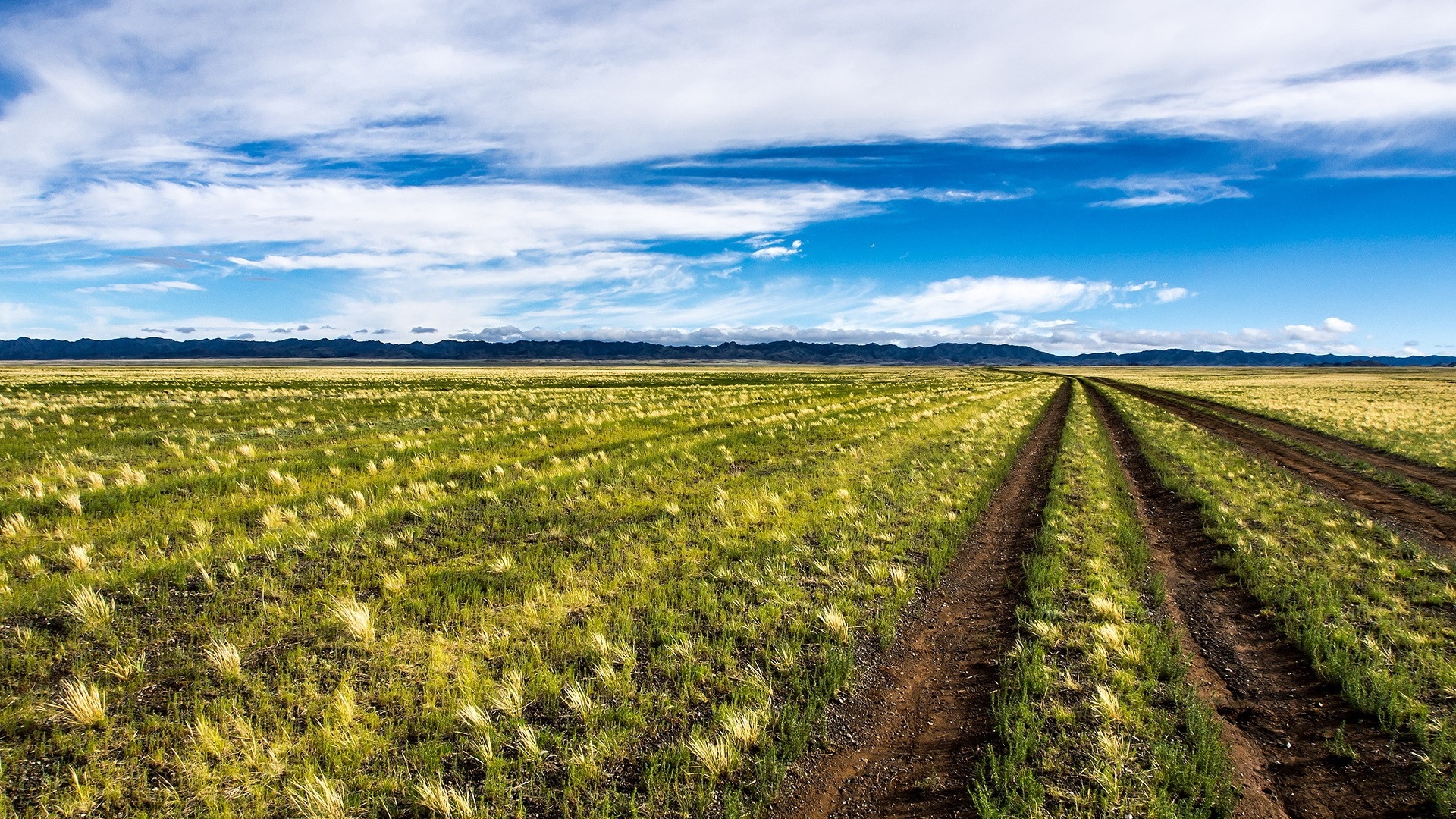 蒙古粮食种植工作已完成54.4%