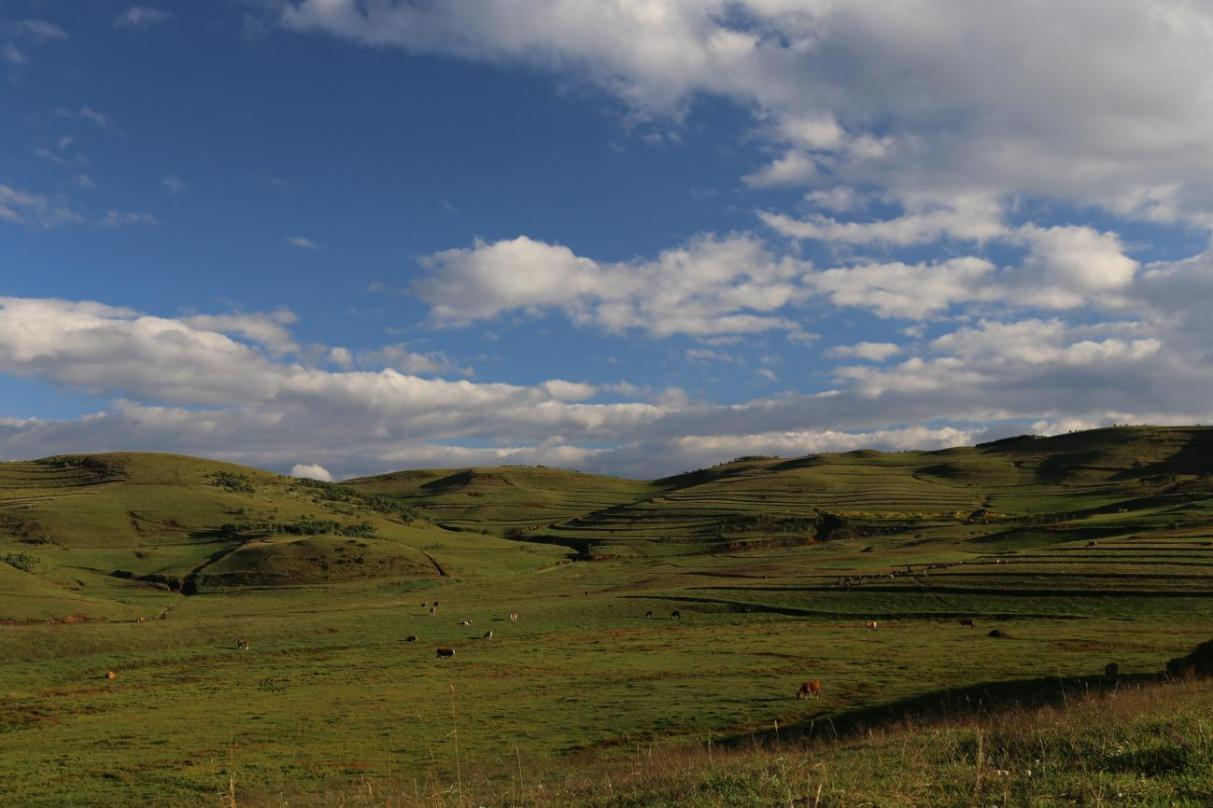 1:50万草地植被图发布 印证青藏高原“变暖变湿”趋势