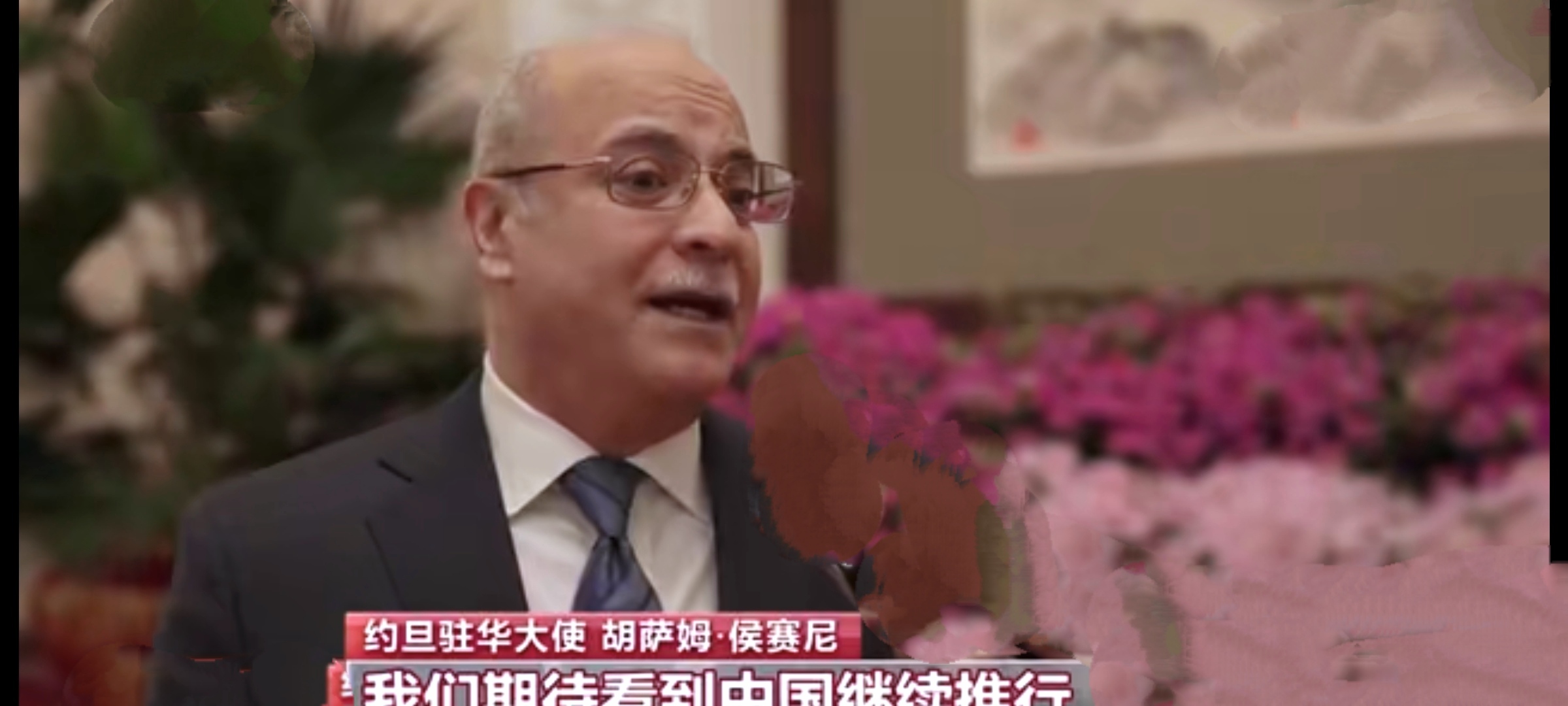 驻非盟使团胡长春大使接受中新社采访