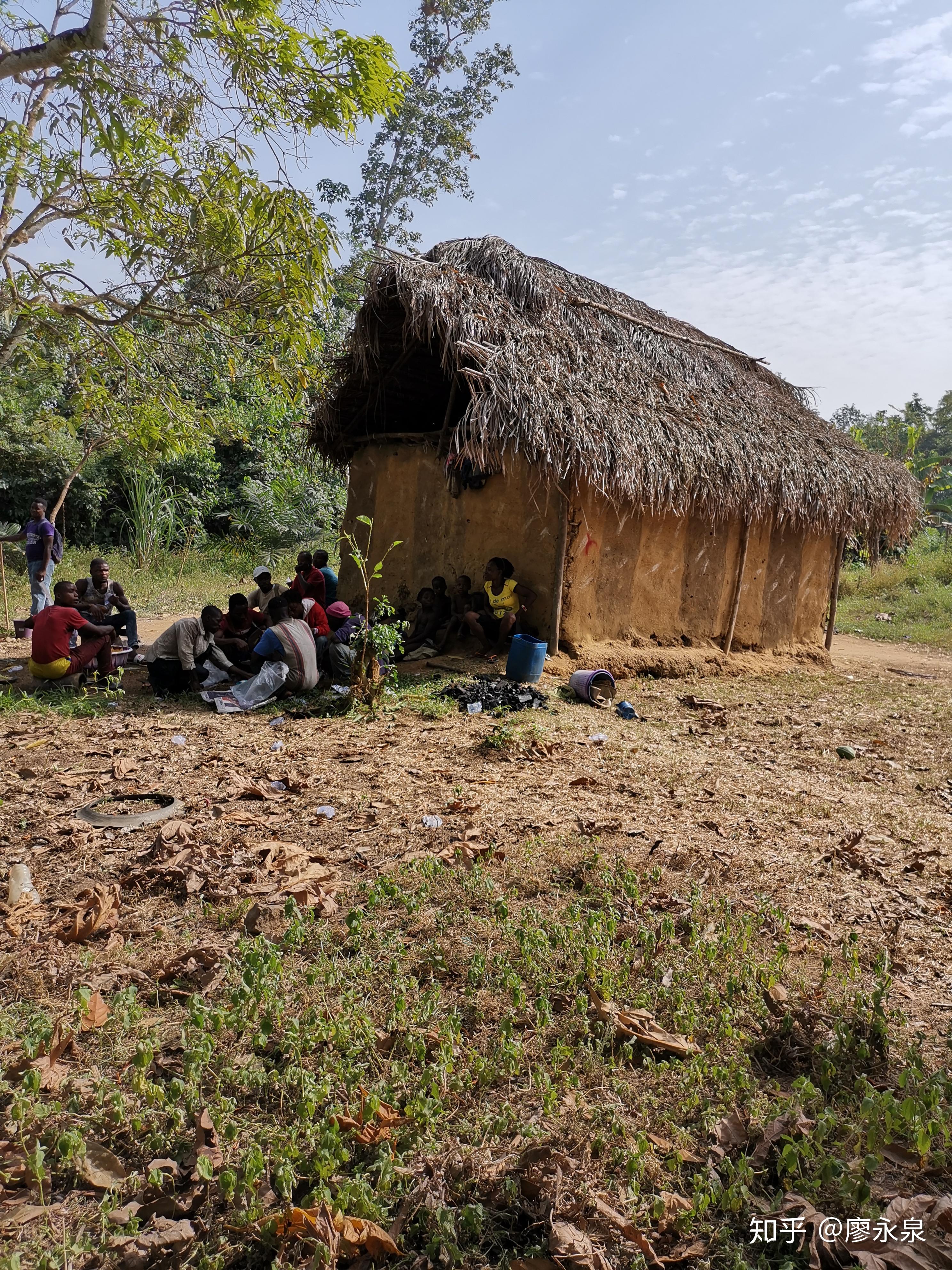 利比里亚继续免征大米进口关税