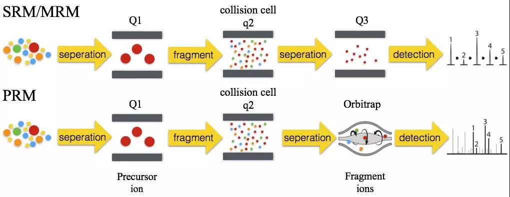 前沿生物获得发明专利授权：“治疗和/或预防HIV相关疾病的APC偶联物及其制法和应用”