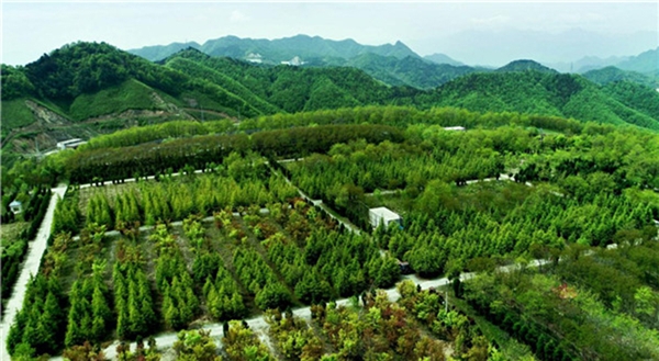 北交所首单科技创新绿色公司债券成功发行