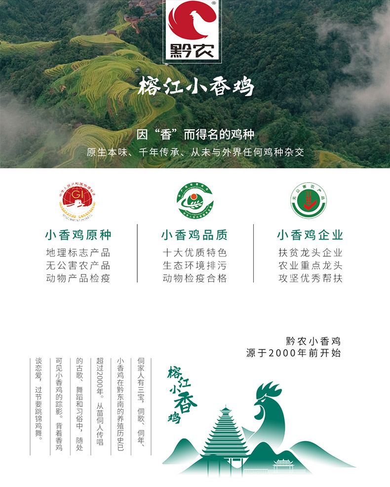 双汇发展获得外观设计专利授权:“包装袋(手撕鸡肉条)”