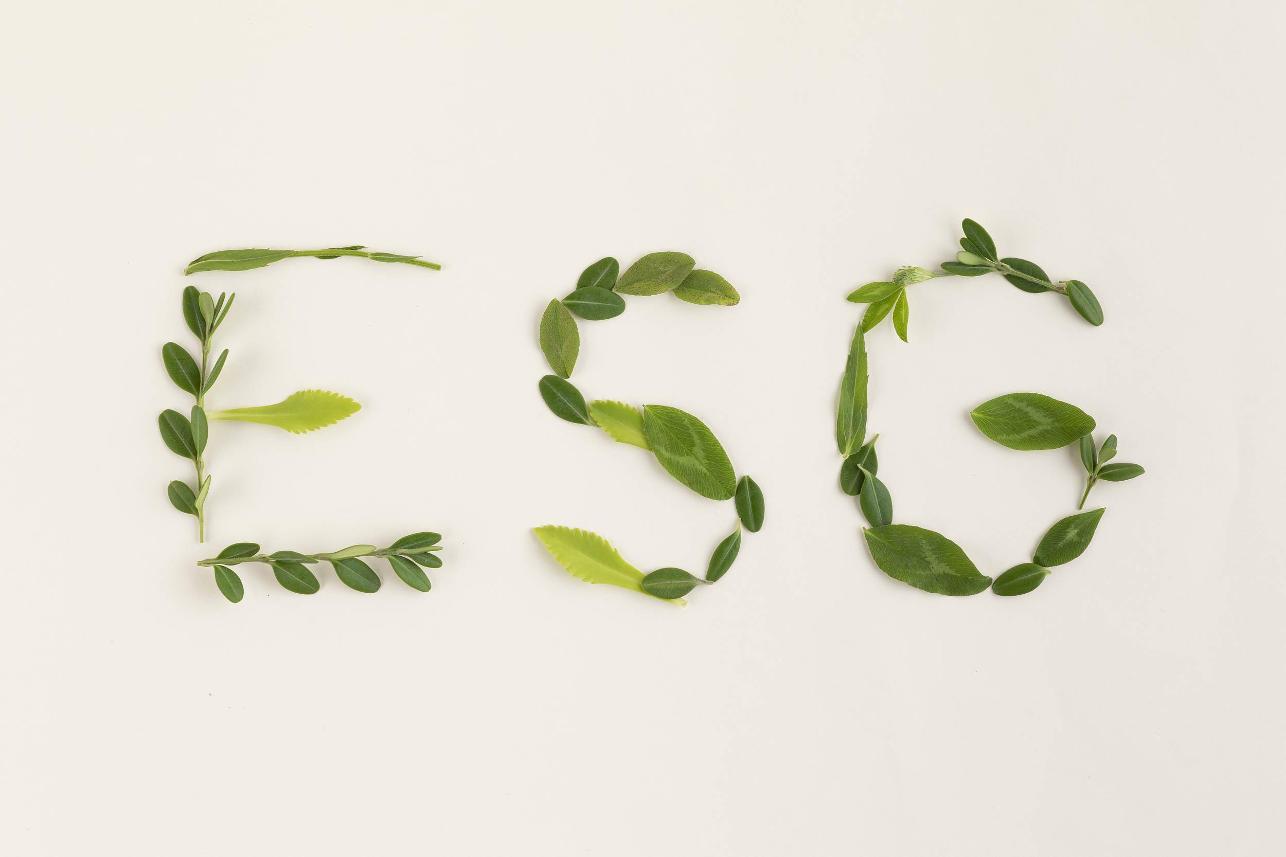 【ESG动态】五芳斋（603237.SH）获华证指数ESG最新评级A，行业排名第11