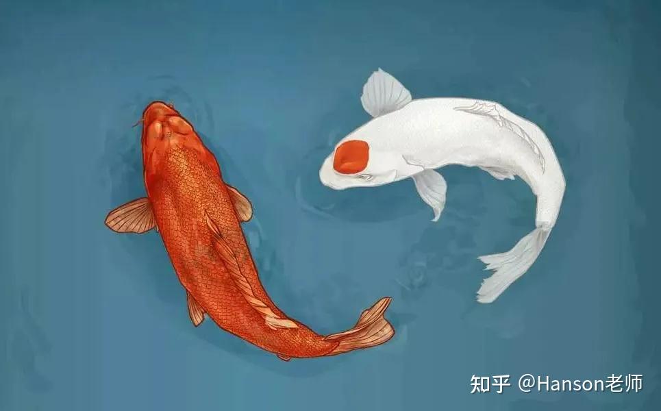 新发提速VS存量萎缩 公募FOF“加减法”怎么做?