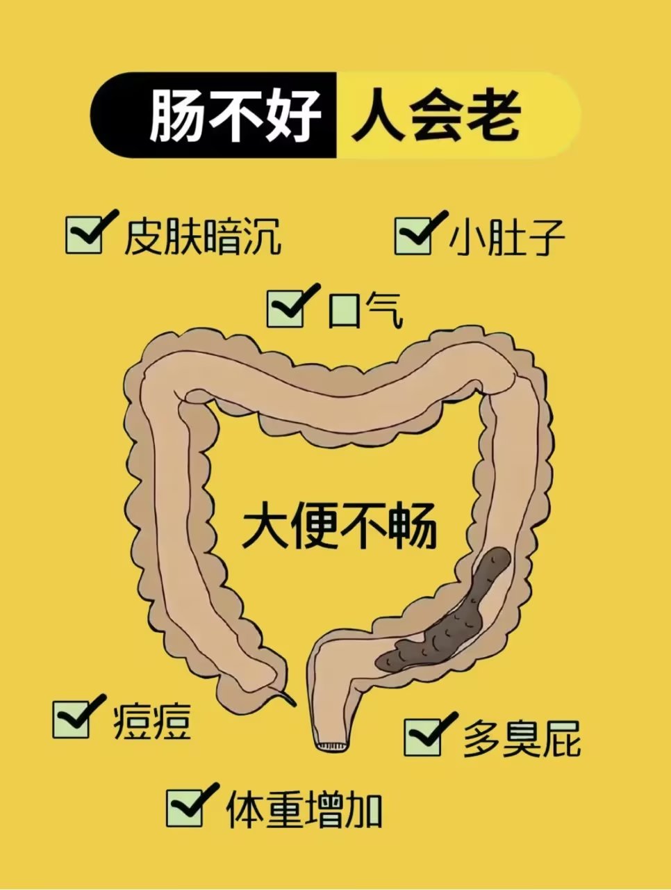 芬兰研究发现孕产妇心理健康与肠道菌群有关