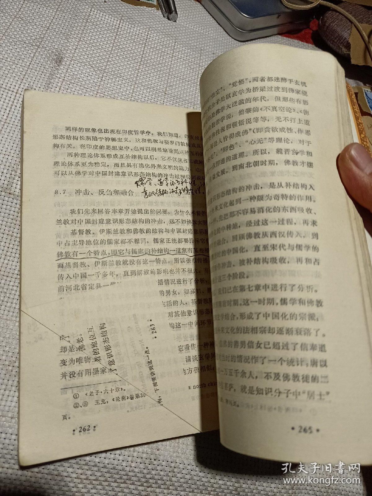 近代化的中国“弹性”――对弹性社会与超稳定结构的一种解读