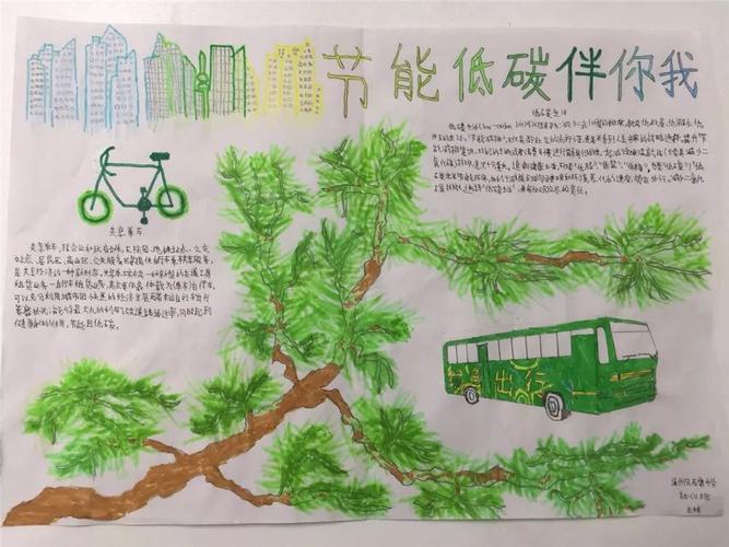 以棉为媒，共筑绿色未来：稳健医疗、全棉时代精彩亮相链博会