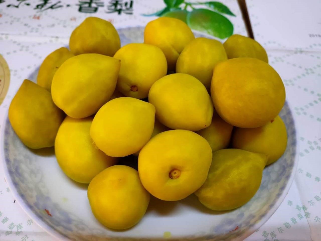 新研究:要让芒果更保鲜,臭氧水泡10分钟就行