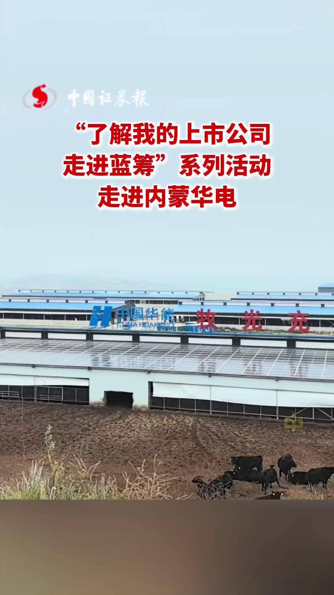 金利华电扩大主营业务规模 拟投建年产300万片特高压玻璃绝缘子生产线