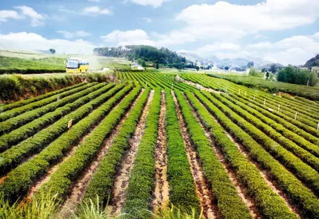 江苏成立节能环保产业创新联盟 已累计创建国家级绿色工厂439家